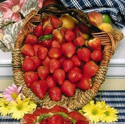 Freshly picked strawberries tumble out of a beautiful woven basket.  Add a Spring boquet of yellow daisies or chrysanthemums to your kitchen table for an extra touch of Spring.